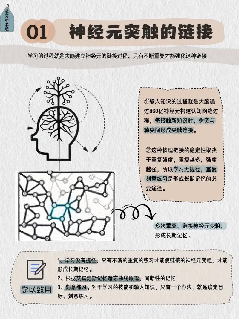 如何高效学习ThinkPHP6官方文档？