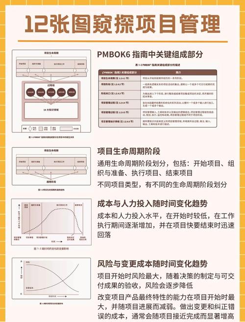 如何具体区分项目理解与项目概述之间的细微差别？