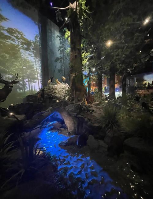 智网郑州科创园有哪些创新项目可以参观？