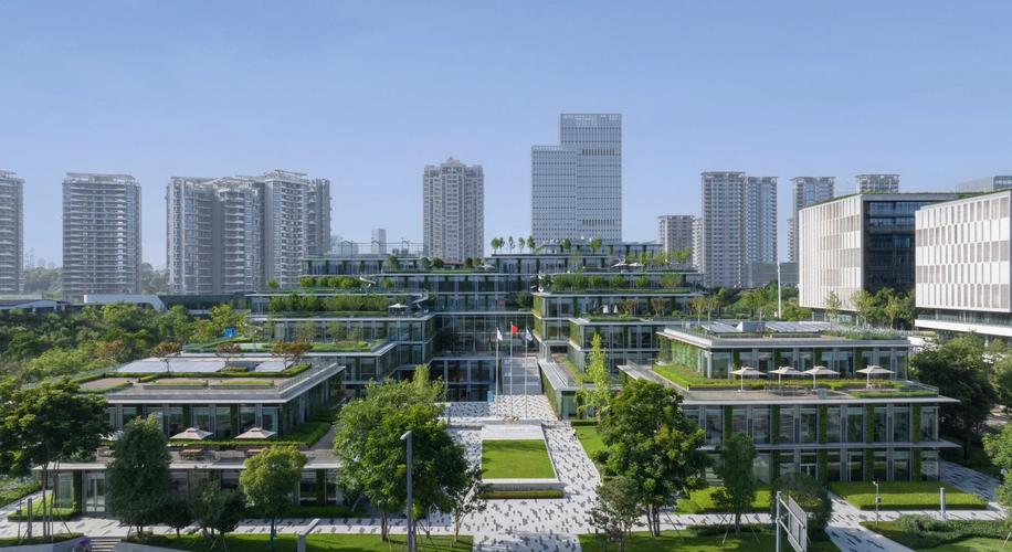 中建项目与总部有哪些显著差异之处？