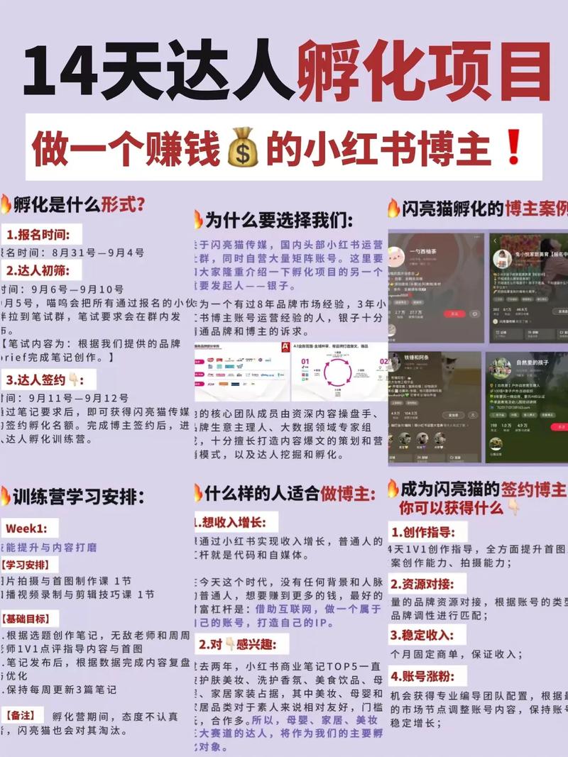 月入过万，躺赚神器，49.9元就能实现，这是真的吗？