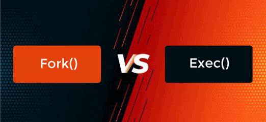 fork()和exec()之间有何本质区别？