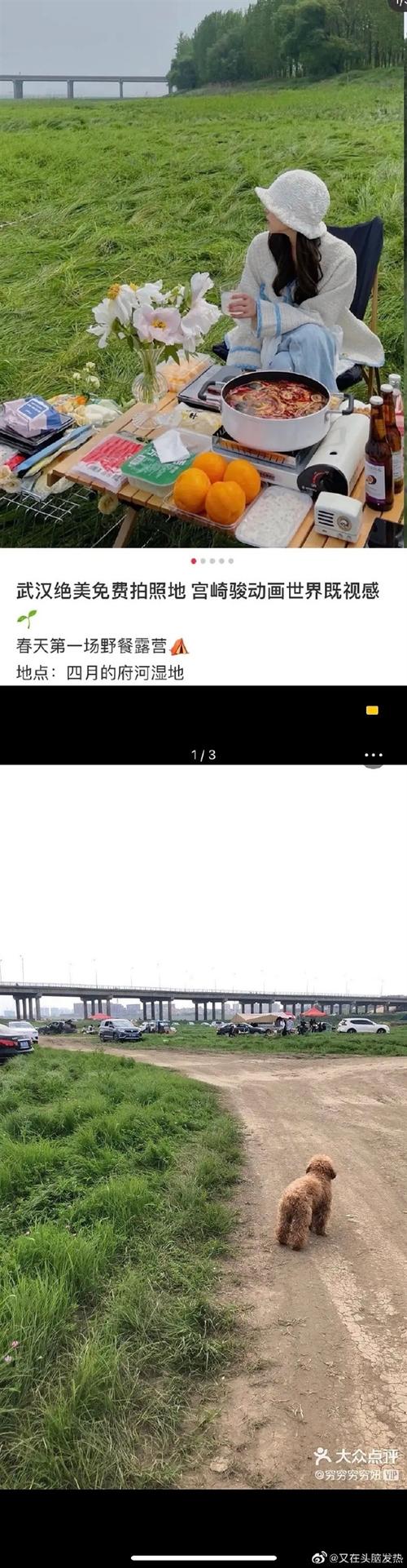 网照PS过度，打卡陷阱真的很多吗？