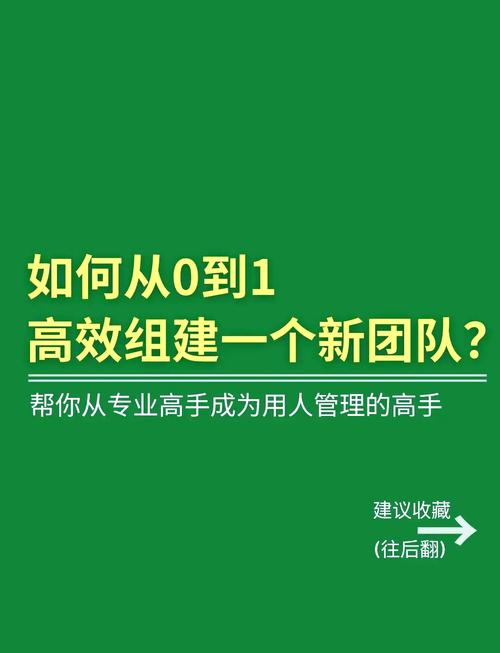 如何快速组建专业团队以提升b2b商城的竞争力？