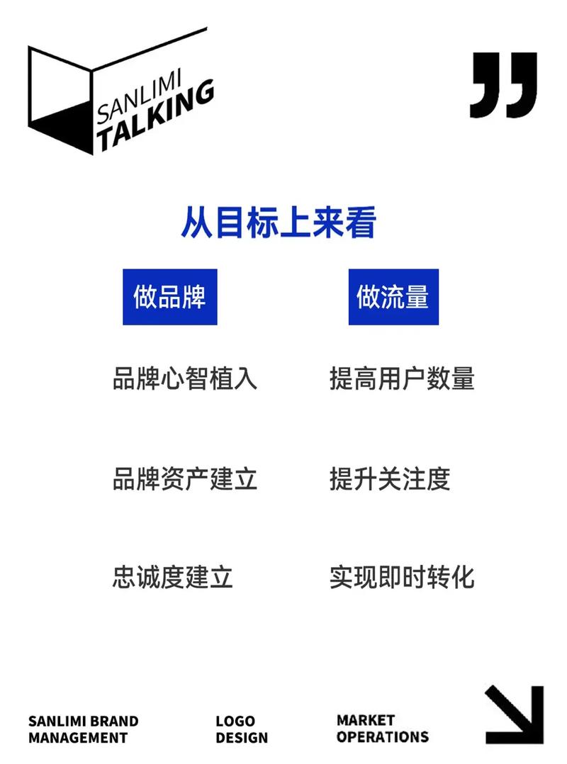独立站与电商平台流量、品牌、增长，哪个是终极博弈的深度？