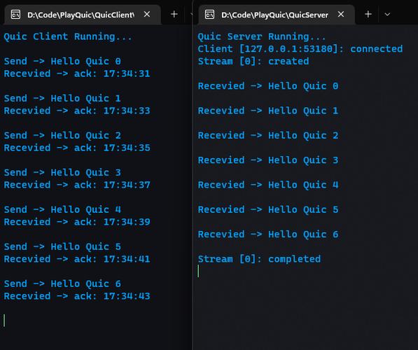 .NET 7中如何具体实现QUIC Echo服务的详细步骤是什么？