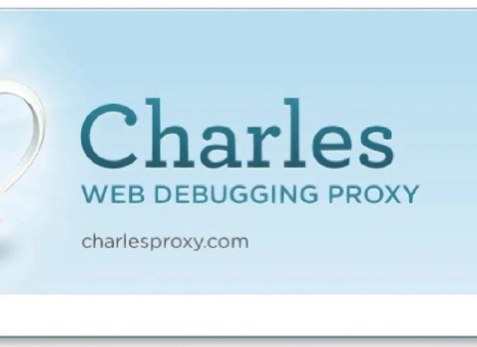 网络抓包工具中，哪款专业工具在业界口碑最佳？