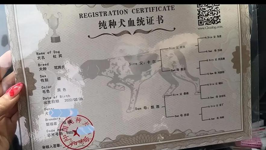 续签犬类血统库，是否涉及数据更新、隐私保护及未来应用前景等众多疑问？