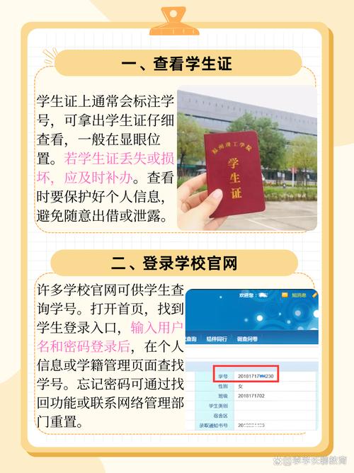 学号后两位是？这可能是哪位同学的独特身份标识呢？