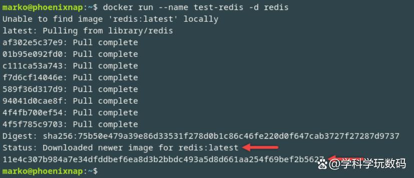 如何在Docker环境中部署并运行redis-stack？