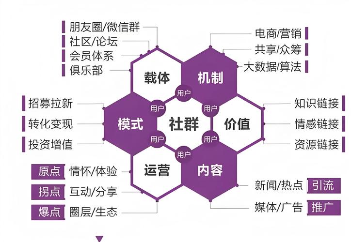 如何构建企业社群，打造用户互动生态圈？