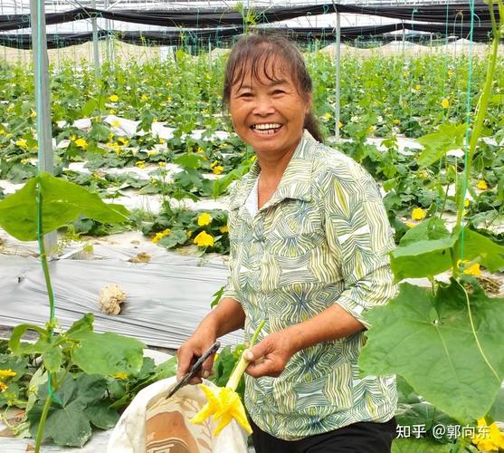 连续二十年，每年工资涨幅5%，这是不是太保守了？