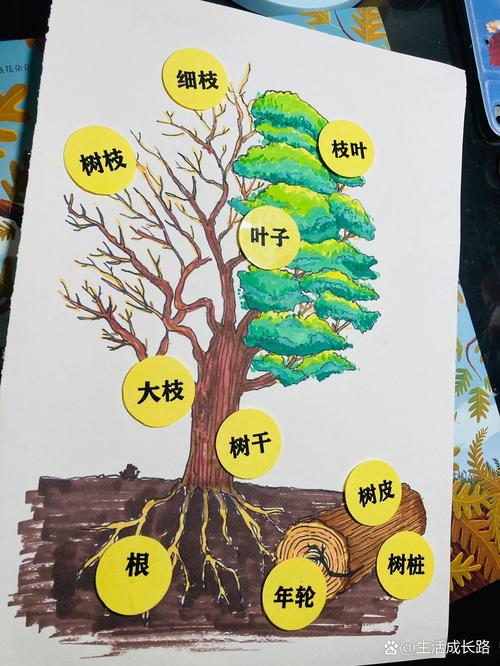 这棵树形结构里，每个节点代表什么，如何层层递进？