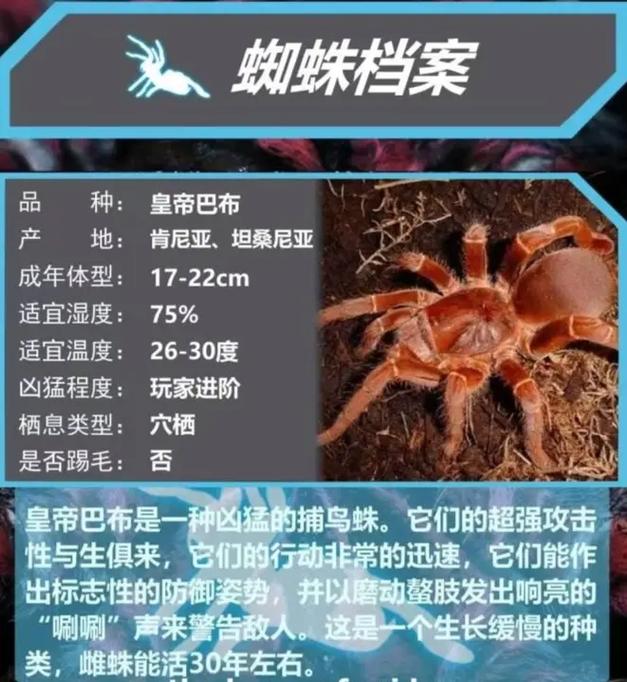 蜘蛛最喜欢收录哪些类型的信息呢？