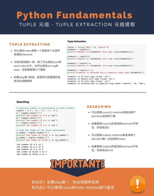 如何使用Python typing模块进行基于typing的具名元组类型注解定义？