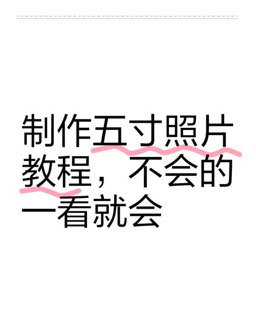 如何操作打印机精确打印出符合证件要求的照片尺寸？
