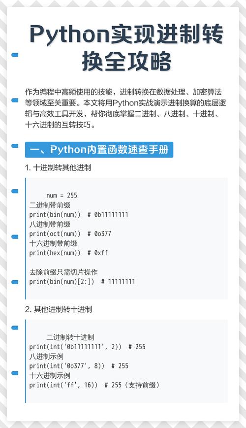Python如何实现进制转换及反汇编流程详解？