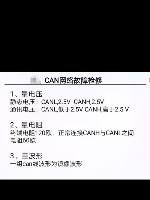 DCSV接口具体指的是什么？能否详细解释一下？