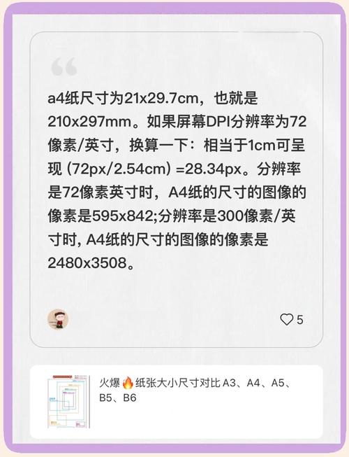 Delphi如何查询所有纸张尺寸名称及对应像素大小？