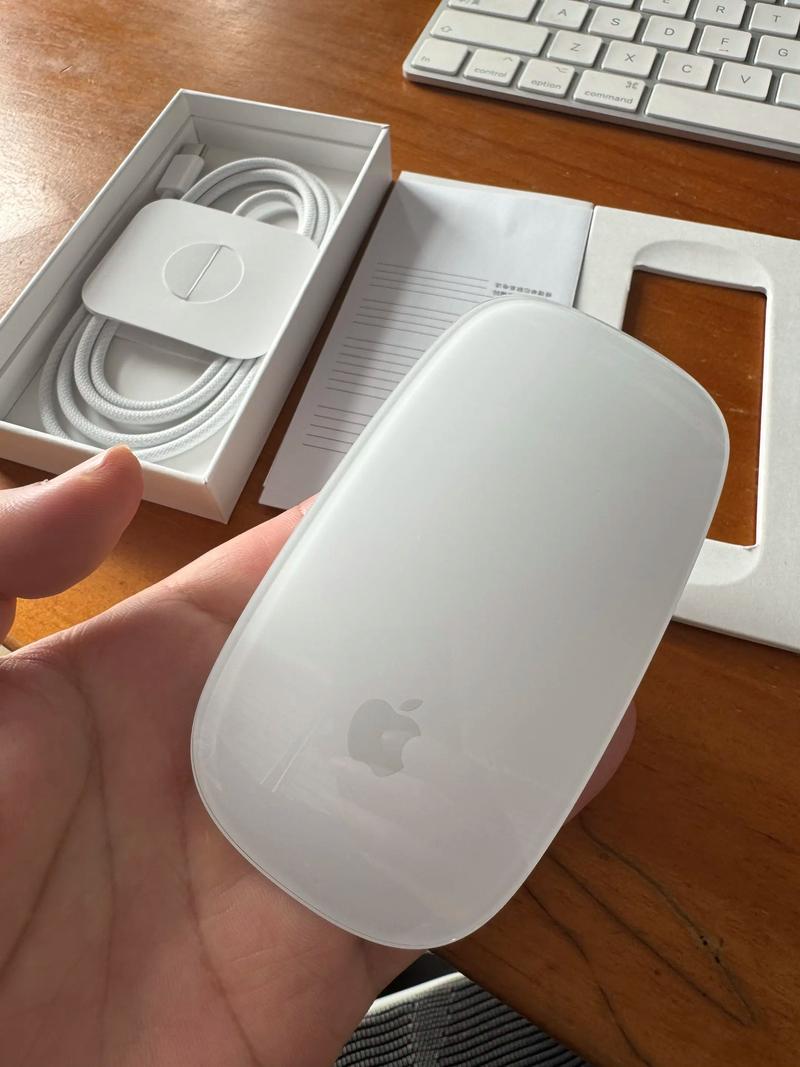 当前最流行的鼠标接口类型具体是哪一种？