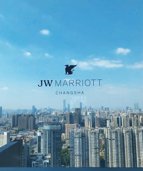 长沙SEO优化，雨花区性价比高的服务哪家好？