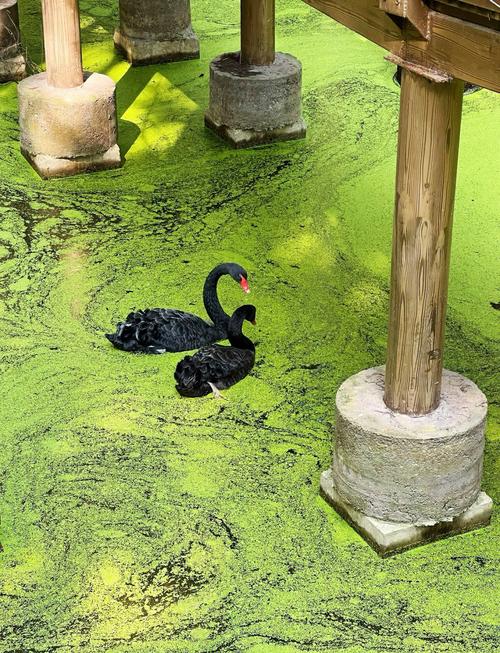 青山湖企业拓展首选品牌是哪个？