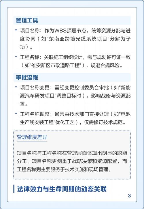 业主名称与项目名称在本质区别上,如何界定两者的不同之处?