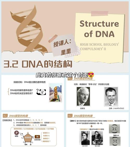 家族DNA数据库是用来做什么的，能帮助解决哪些遗传问题？