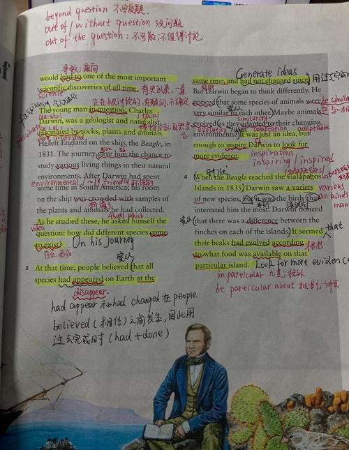 HDU3333TuringTree是什么长尾词？请详细解释其含义和用途。