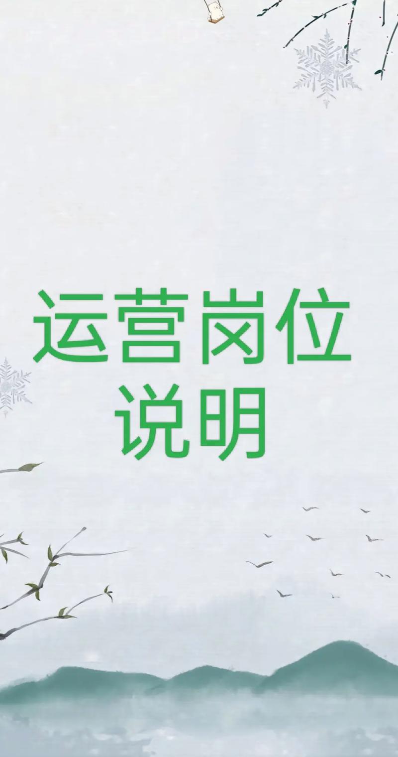 独立站运营岗位，未来是风口还是长坡厚雪？