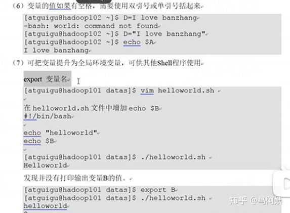 Shell中的echo命令如何实现输出文本？