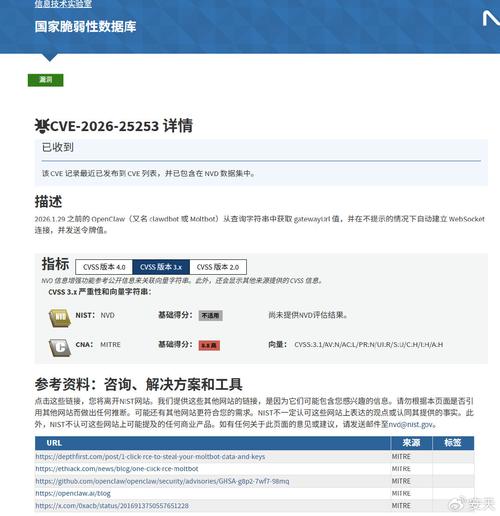 CVE是什么类型的漏洞编号？
