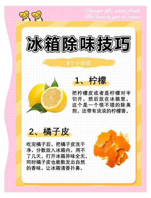 如何快速去除冰箱异味，恢复清新环境？
