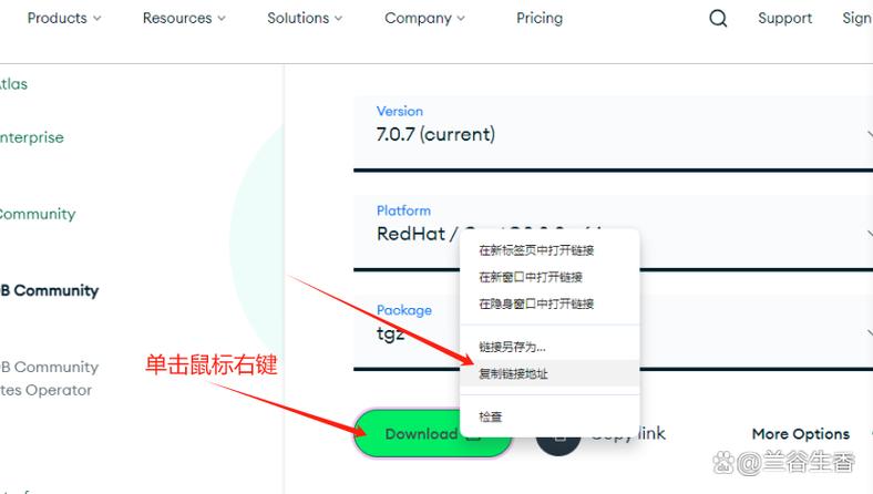 如何使用 .NET Core 集成 MongoDB 实现高效数据操作？