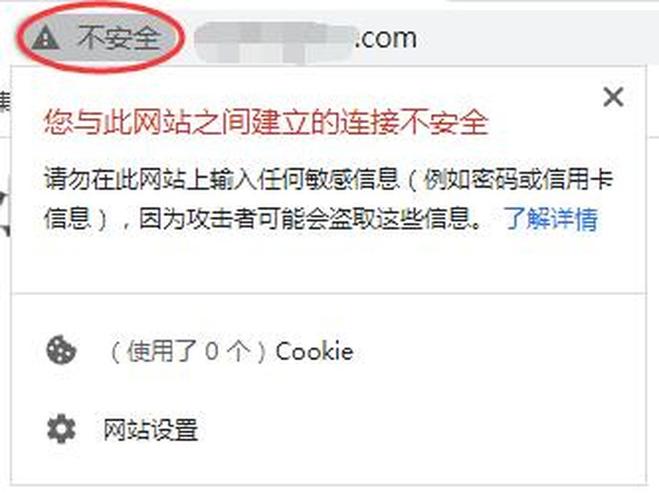 企业网站建设过程中，有哪些常见错误容易被忽视？
