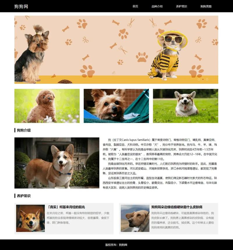 如何将宠物网站灵感与模板图片完美融合，打造专业网页设计模板？