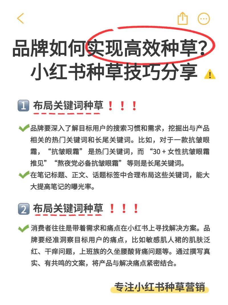 如何利用SEO种草，打造品牌曝光的神奇利器？