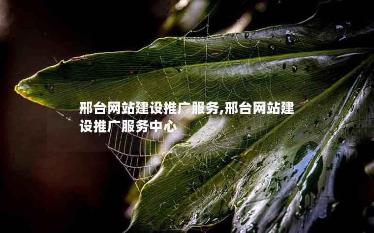 邢台专业网站建设行业深度探析，官网发展前景展望，邢台建设网的发展之路究竟如何？