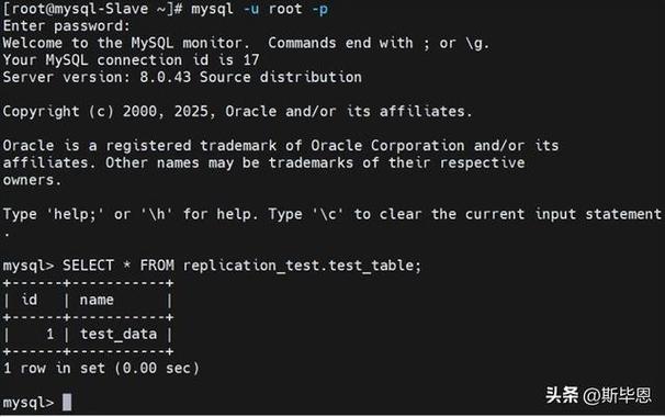 为什么MySQL数据库不能存储中文数据？这是为什么？