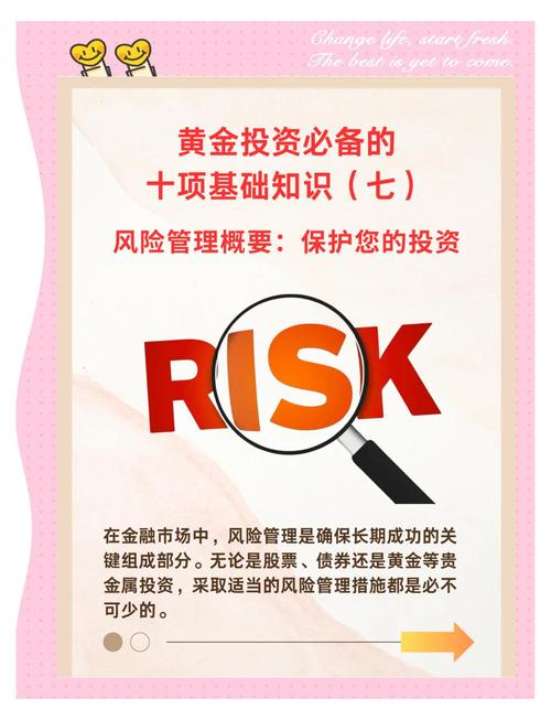 如何通过合法途径避DMCA风险，实现稳赚金？