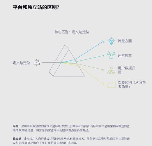 如何构建与增长海外跨境电商独立站，平台与品牌关键策略及模式对比分析？