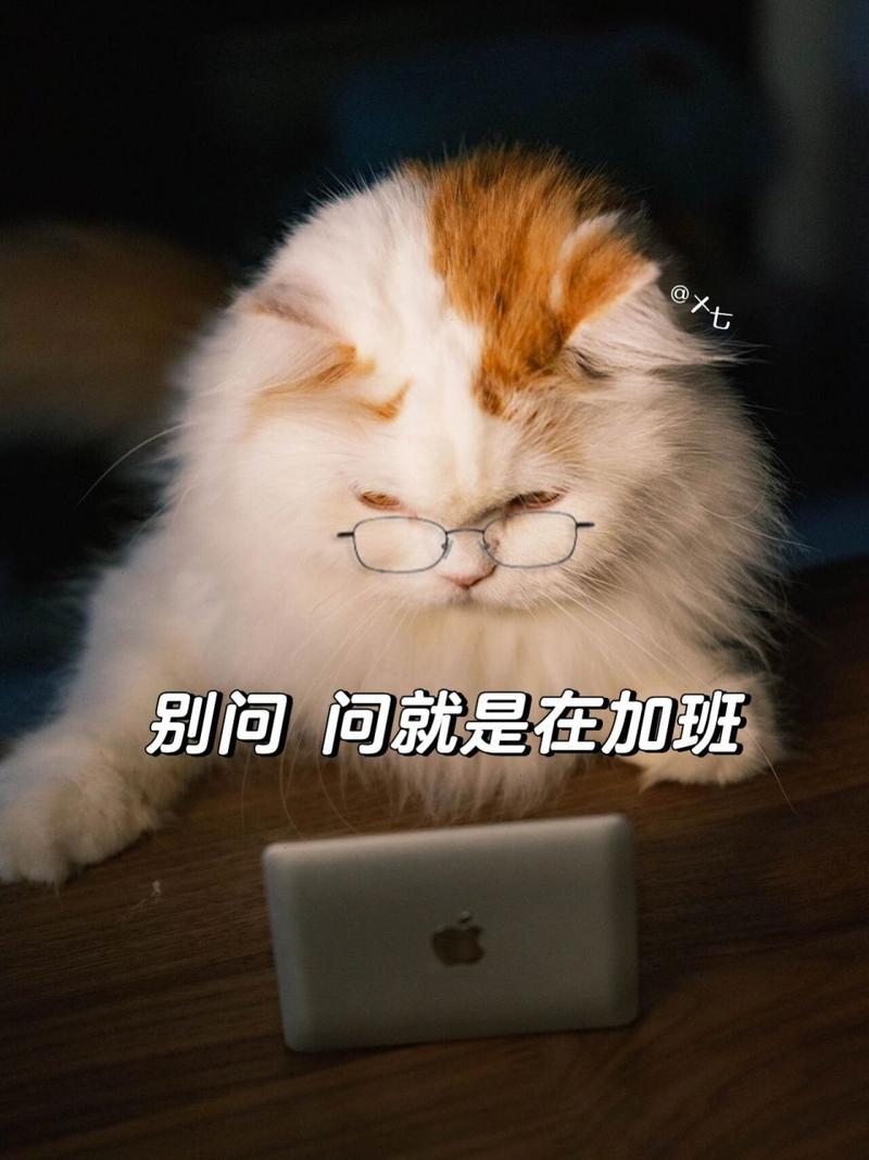 00后，你们公司经常加班吗？