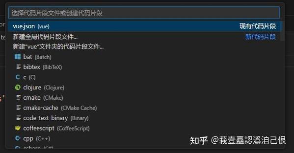 如何详细操作在Vs-code/WebStorm中构建Vue项目？