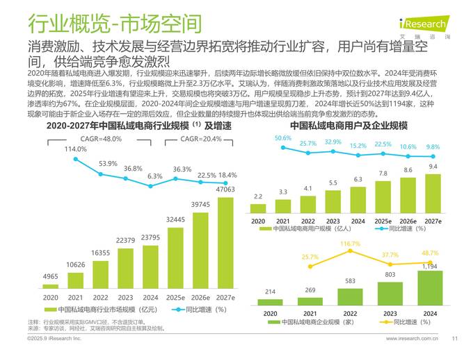 专业网站建设市场分析，未来趋势、机遇与挑战有哪些？