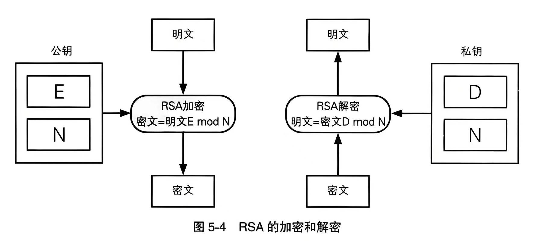编程领域有哪些加密算法被广泛应用？