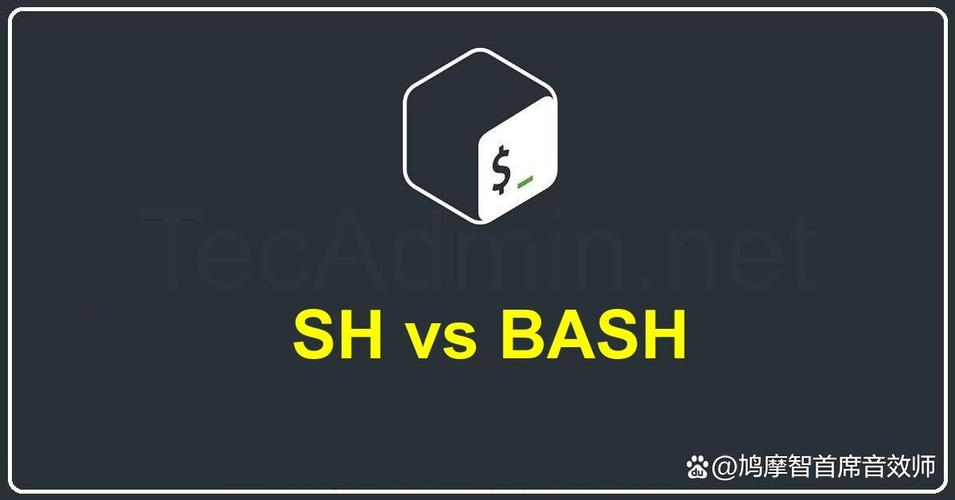 bash和sh在功能上有什么显著差异？