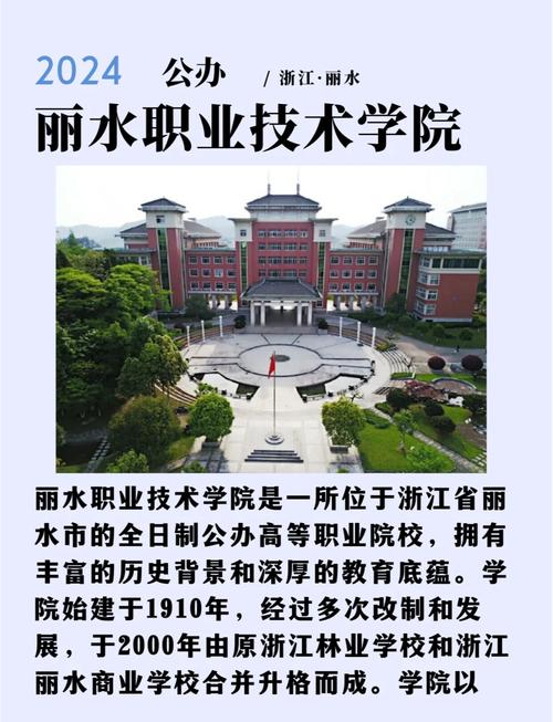 丽水网站建设领军者丽水网络学院有哪些专业优势和服务深度？