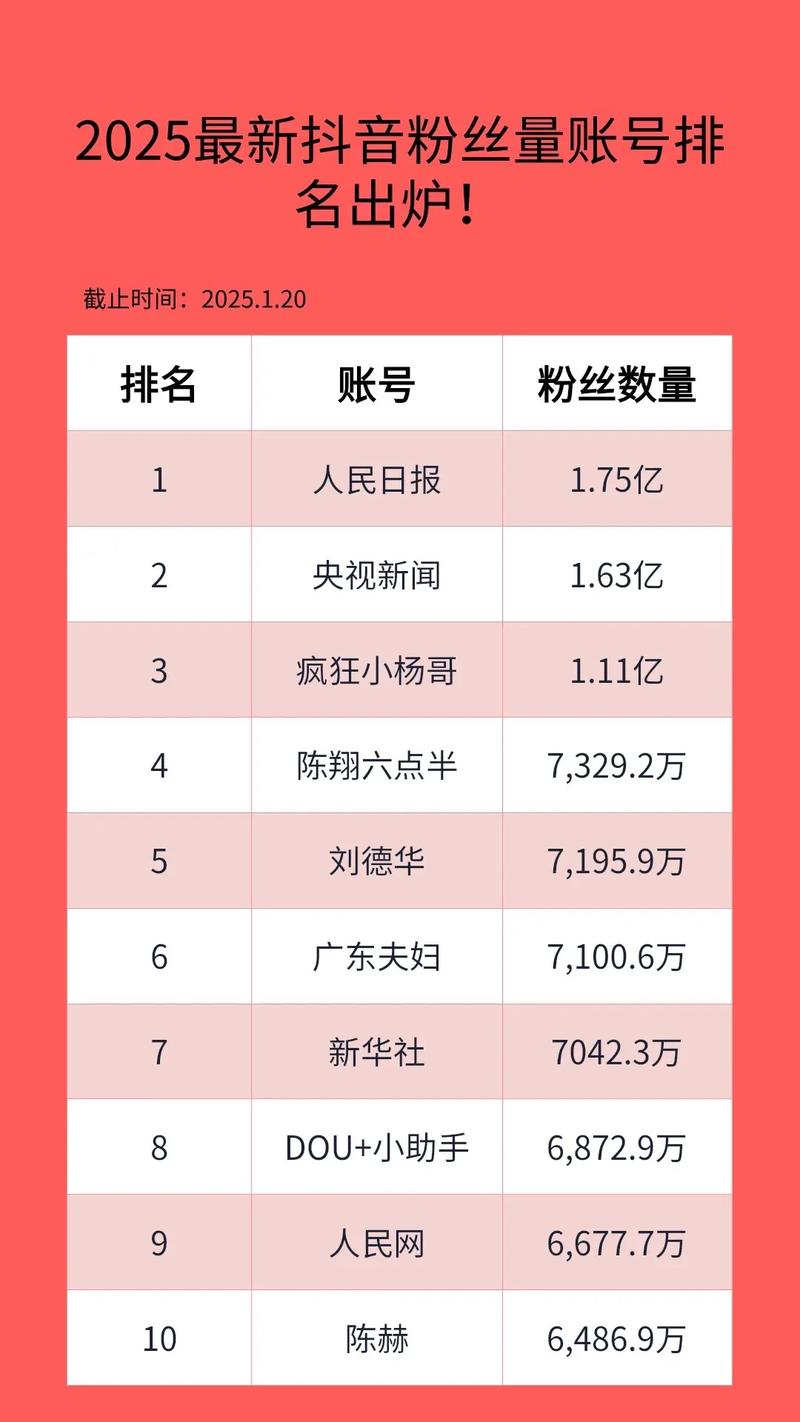 2025年抖音粉丝前1000强账号有哪些显著特点？
