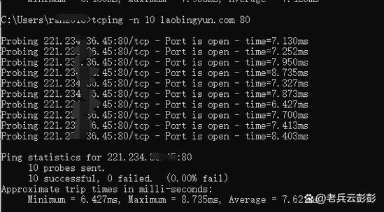 如何判断一个域名是否可以通过ping命令成功连接？