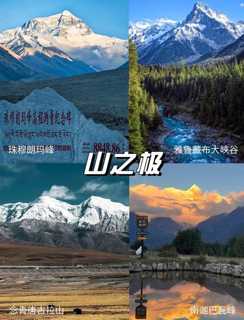 如何用百度文库7天体验卡开启一段解锁知识宝藏的七天之旅？
